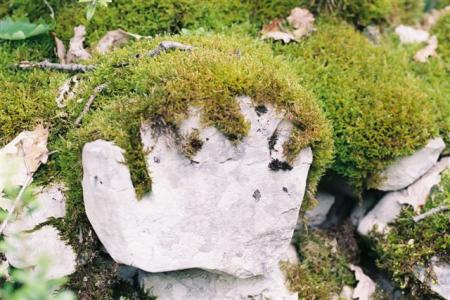 les pierres nous réservent bien des surprises